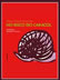 livro infantil no risco do caracol