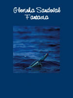 livro virtual