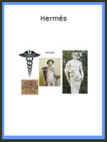 hermes
