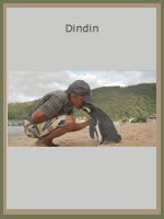 Dindin